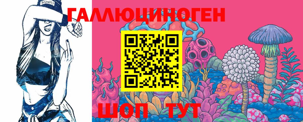 Галлюциногенные грибы Psilocybe Долгопрудный